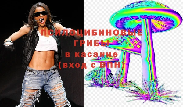 альфа пвп Новодвинск