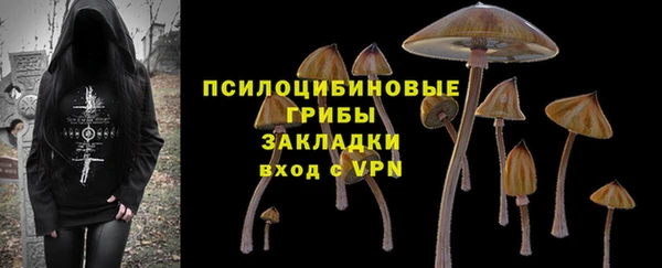 альфа пвп Новодвинск