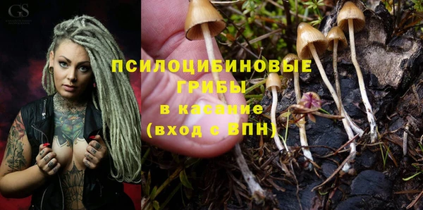 дистиллят марихуана Новозыбков