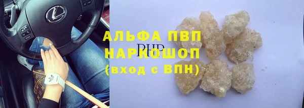 альфа пвп Новодвинск