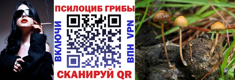 Псилоцибиновые грибы Cubensis  Купить  Межгорье 