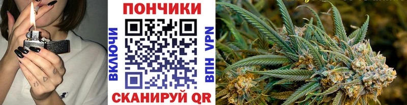 МАРИХУАНА планчик  Купить закладки  Межгорье 